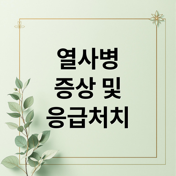 열사병 증상, 응급처치, 예방까지: 여름철 건강 지키는 완벽 가이드